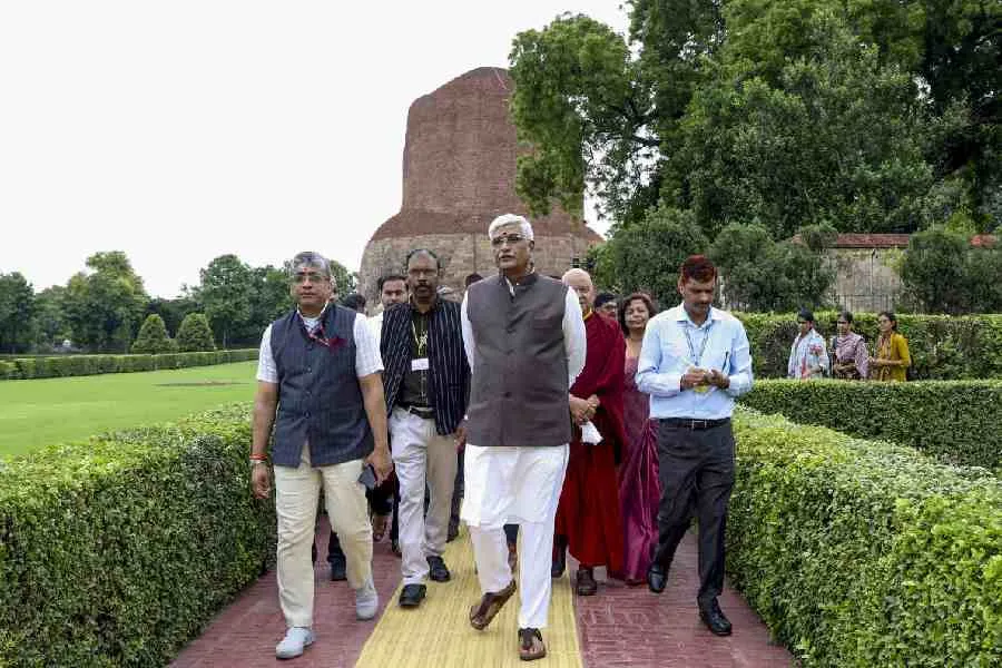 Story Image